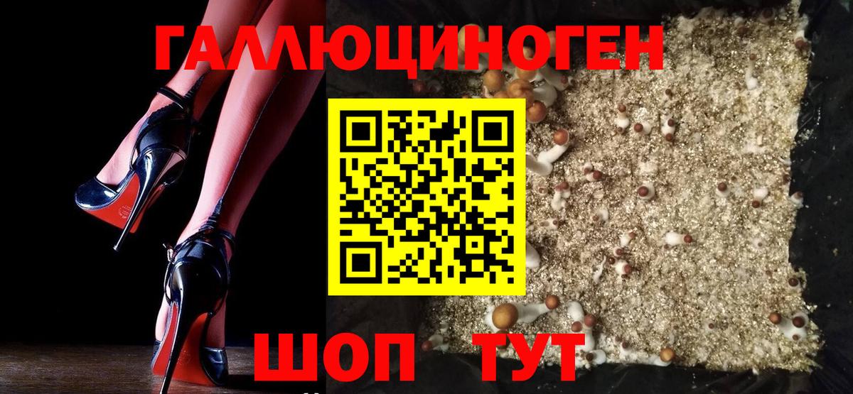 Псилоцибиновые грибы MAGIC MUSHROOMS  Галлюциногенные грибы прущие грибы  Вход с VPN  Белгород 